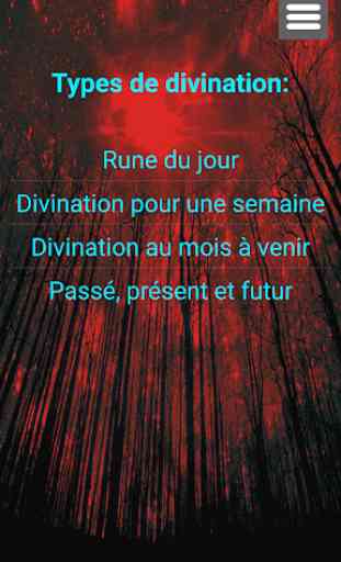 La divination des runes 1