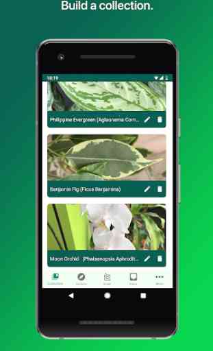 PlantSnap Pro - Identify Plants, Flowers & Trees 4