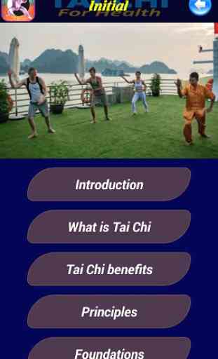 Tai Chi For Health 2