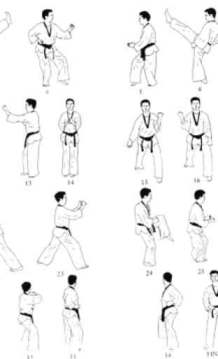 Apprendre les techniques de taekwondo 3