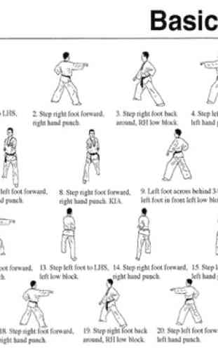 Apprenez les techniques de taekwondo facilement 1