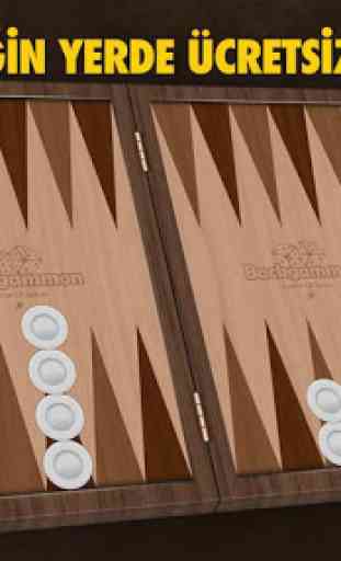 Backgammon Offline 1