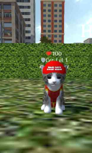 Cute Cat And Puppy World 4