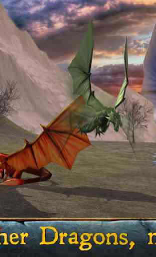 Magic Dragon Simulator 3D 3