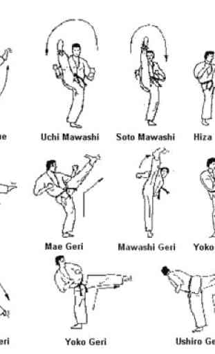 Mouvement de base d'apprentissage du taekwondo 2