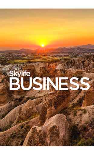 Skylife Business 1