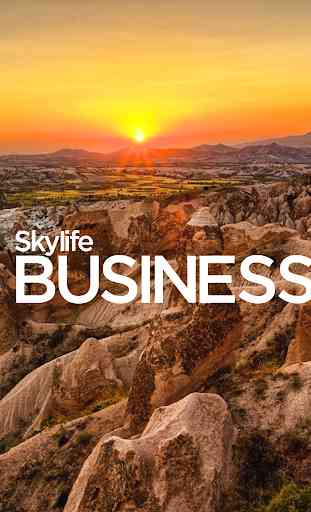 Skylife Business 2