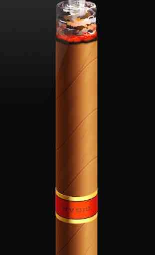 Smoking cigar (PRANK) 1