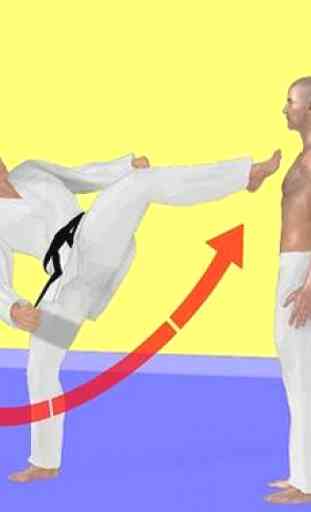 Taekwondo d'apprentissage rapide 4
