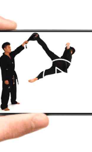 Techniques de Taekwondo 2