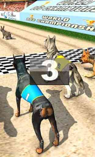 Tournoi de course de chiens réels 3
