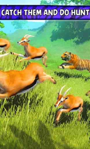Wild Tiger Survival - Animal Simulator 2