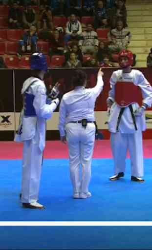 World Taekwondo 1