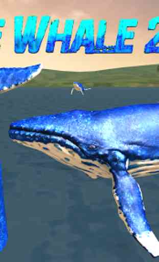 Blue Whale 2020 4