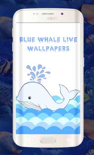 Blue Whale fonds d'écran Live-animations Whale 1
