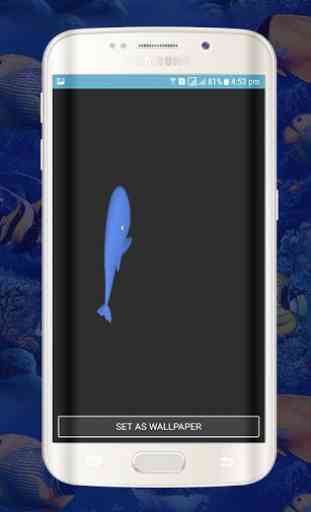 Blue Whale fonds d'écran Live-animations Whale 3