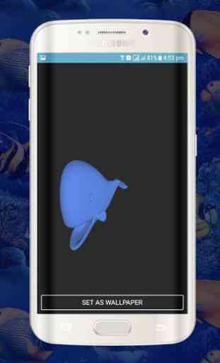 Blue Whale fonds d'écran Live-animations Whale 4