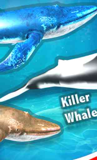 Blue Whale Simulator - Deep Ocean Adventure 2
