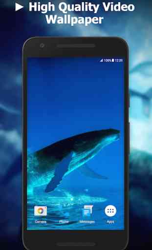 Blue Whale Video Live Wallpaper 1