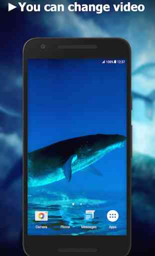 Blue Whale Video Live Wallpaper 2