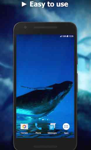 Blue Whale Video Live Wallpaper 3