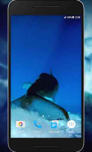 Blue Whale Video Live Wallpaper 4