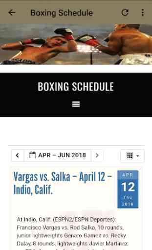 Boxing Schedule 2