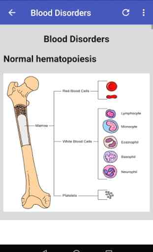 Hematology Overview 2