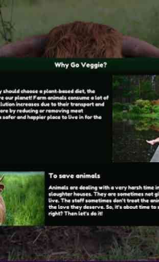 Pocket Veggie: Vegan/Vegetarian tips and guides 2