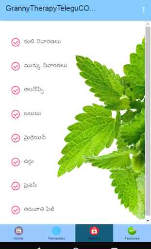 Telugu Health Remedies 3