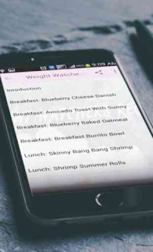 Weight Watchers Recipes List 2