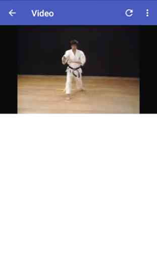 26 Shotokan Karate Katas 2