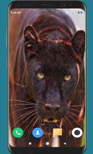 Black Panther HD Wallpaper 1
