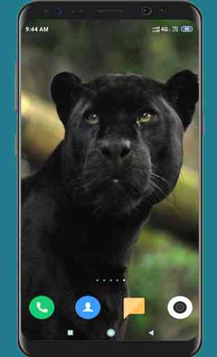Black Panther HD Wallpaper 4