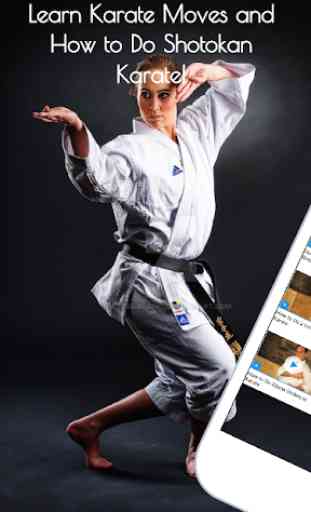 Karate Training Guide 1