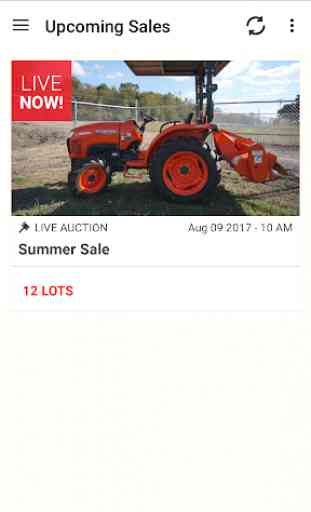 Mayco Auctions 1