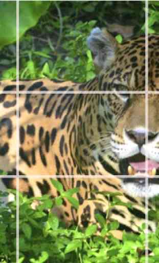 Puzzle - Animaux forestiers 1