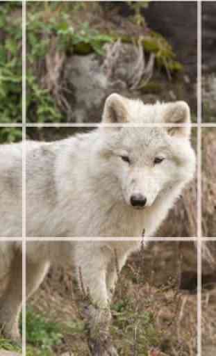 Puzzle - Animaux forestiers 3