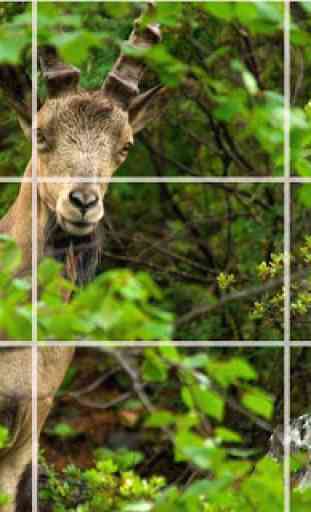 Puzzle - Animaux forestiers 4