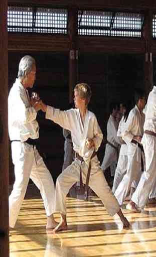 Shotokan Karate 2