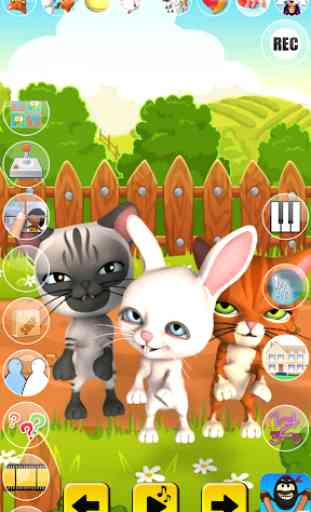 Talking Cat and Bunny 3