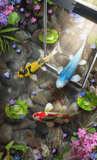 Thème de poissons 3D Koi & 3D Effet d'ondulation 1