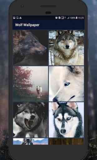 Wolf Wallpaper 4