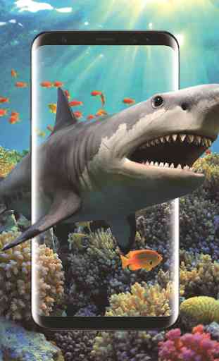 3D Shark dans l'océan vidéo Live Wallpaper gratuit 1