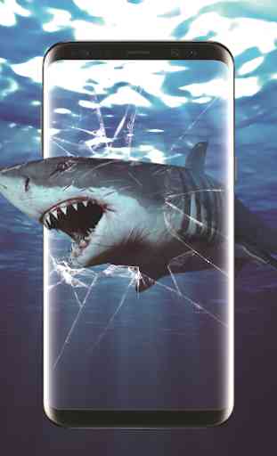 3D Shark dans l'océan vidéo Live Wallpaper gratuit 2