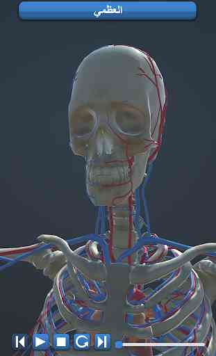 Anatomy 3D 3