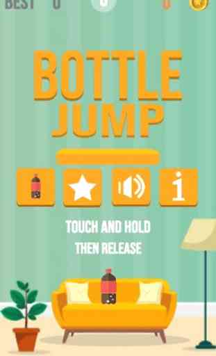 Bottle Jump : Flip 3D 1