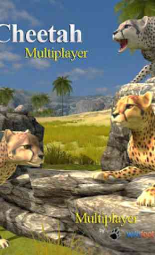 Cheetah Multiplayer 1
