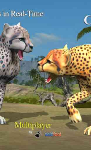 Cheetah Multiplayer 2