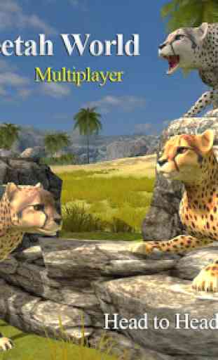 Cheetah Multiplayer 3
